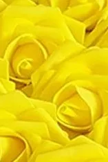 200pcs ~ Real Touch Foam Roses Wholesale Bulk RT-200